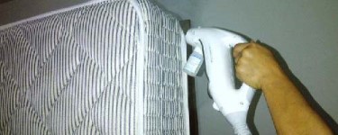 eliminar las chinches