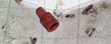 lucha a las cucarachas