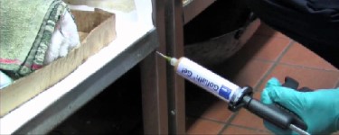 lucha a las cucarachas